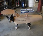 Enterprise dog.jpg