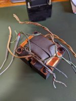 PXL_20220205_143032528.MP.jpg