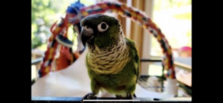 76A0250D-DD07-45CB-B54E-17FD998A057C.png