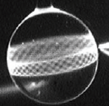 Light Trapped In Microsphere.png
