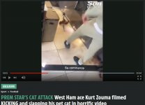 Kurt Zouma dropkicks the Cat.jpg