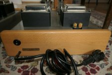 Gräfenberg Tube Power Mono Amp GBMo-2 rear.jpg