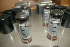 Gräfenberg Tube Power Mono Amp tubes.jpg