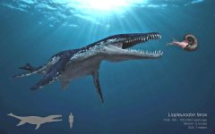 Liopleurodon.jpg