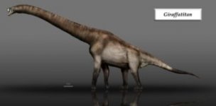 Giraffatitan.jpg