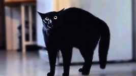 maxresdefault.jpg