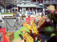 Tigers made out of Legobricks.jpg