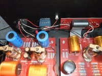 Audio Note Preamp Kit Vol-Contr interrupted wires-V.JPG