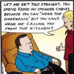 Speaker Cables Cartoon.jpg