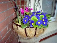 S7 Hanging Baskets.jpg