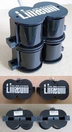 linaeum et6 spread -1000.jpg