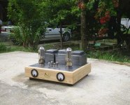 se-845 amp -2.jpg