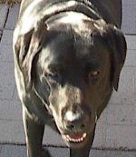 im001102.jpg