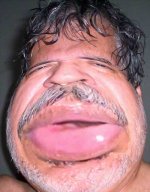 imagem 285.jpg