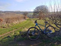 New Bike.jpg