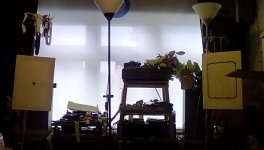 IMG_20220309_111429_hdr.jpg