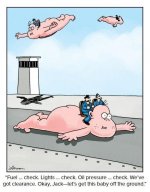 Baby Airlines.JPG