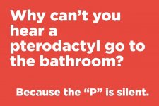 Pterodactyl.jpg