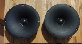 IMG_20220312_161848.jpg