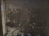 IMG_7163.jpg