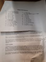 Adelphos MTM- intsruction sheet b.jpg