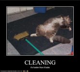 Cleaning.jpg