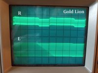 Gold_Lion_osci.jpg