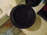 DSC00292.JPG