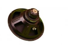 15inch coaxial-2.jpg