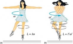Ice Skater.jpeg