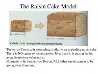Raisin Cake Model.jpg