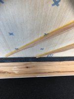 IMG_1379.jpeg
