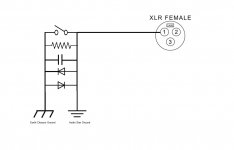 xlr connection.jpg