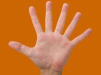 High Six.jpg