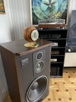 IMG_4173.JPEG