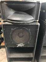 Peavey 115 sc and Horn top.jpg