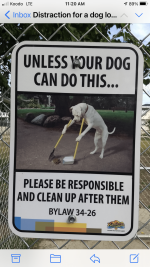 9DC5B5D0-4EC6-4108-B337-B16BB6F11FF5.png