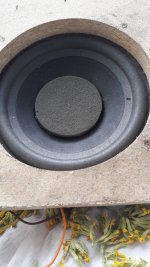 20220426_122322.jpg