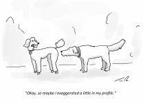 dog[1].jpg