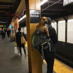 NYC.B.jpg