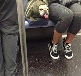 NYC.G.jpg