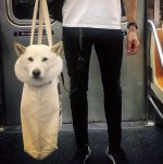 NYC.F.jpg
