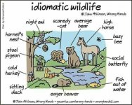 Idiomatic Wildlife.jpg