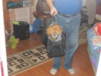 IMG_0311.jpg