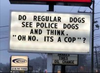 dogs.jpeg