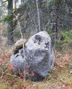 kivitipu.jpg