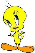 tweety.jpg