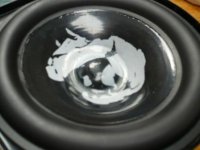 compressed b110 dustcap after wetting.jpg