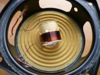 compressed voicecoil removed.jpg