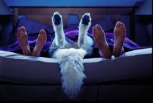 bedtime.20-05-2013 2-21-38 AM.jpg